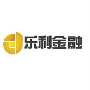 合肥乐利金融 智慧经济信息咨询的领航者